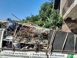 Best Moving and Downsizing Cleanouts  in Valley Falls, KS
